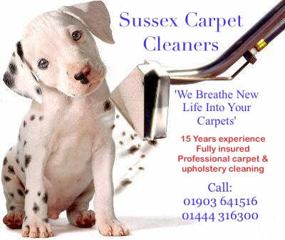 Sussex Carpet Cleaners 
